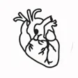 Organized Biology course badge