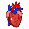 Rhesus Medicine course badge