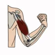 Túlélőkönyv course badge