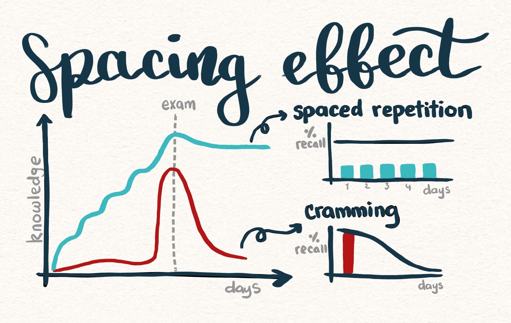 Spaced Repetition: The Science Behind it